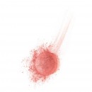 Bourjois Little Round Pot Blush - 16 Rose Coup de Foudre (Love-Struck Rose)