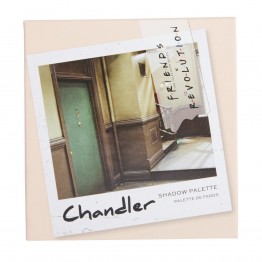 Makeup Revolution X Friends Chandler Eyeshadow Palette