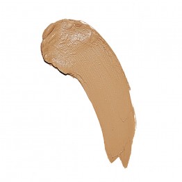 Makeup Revolution Fast Base Stick Foundation - F10