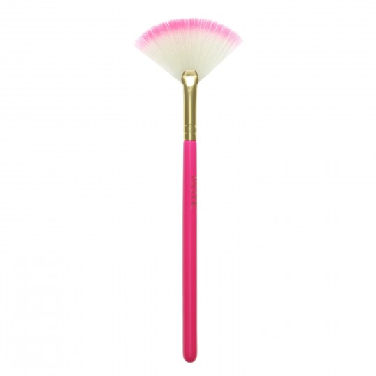 Technic Fan Brush